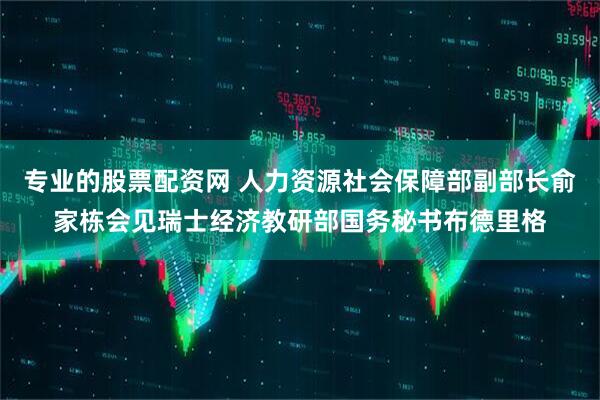 专业的股票配资网 人力资源社会保障部副部长俞家栋会见瑞士经济教研部国务秘书布德里格