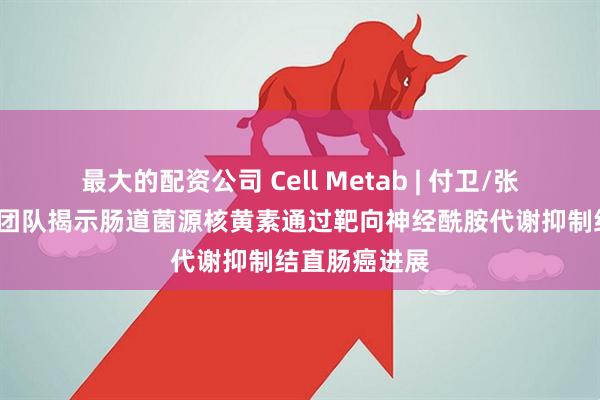 最大的配资公司 Cell Metab | 付卫/张志鹏/孙露露团队揭示肠道菌源核黄素通过靶向神经酰胺代谢抑制结直肠癌进展