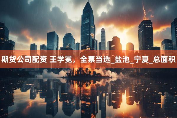 期货公司配资 王学冕，全票当选_盐池_宁夏_总面积