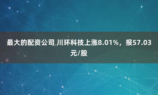 最大的配资公司 川环科技上涨8.01%，报57.03元/股