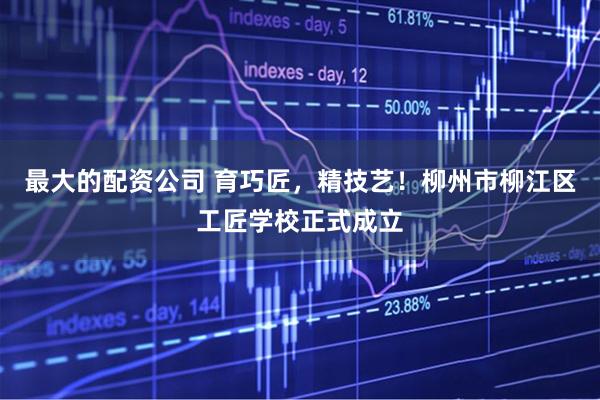 最大的配资公司 育巧匠，精技艺！柳州市柳江区工匠学校正式成立